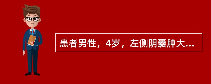 患者男性，4岁，左侧阴囊肿大，直立时阴囊肿大明显，平卧时消失。若确诊为水疝，需下