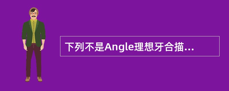 下列不是Angle理想牙合描述内容的是（）