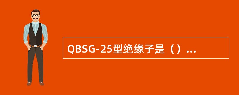 QBSG-25型绝缘子是（）型绝缘子。