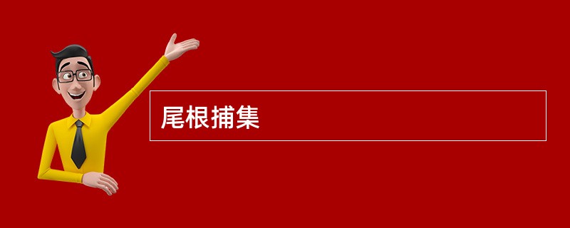 尾根捕集