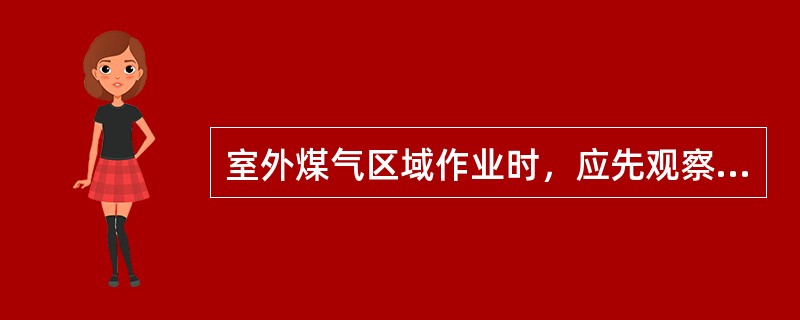 室外煤气区域作业时，应先观察（），作业人员应站在（）。