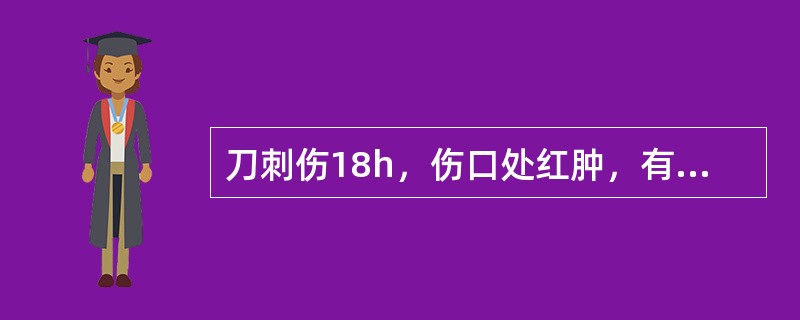 刀刺伤18h，伤口处红肿，有渗出液，最恰当的治疗措施是：（）。