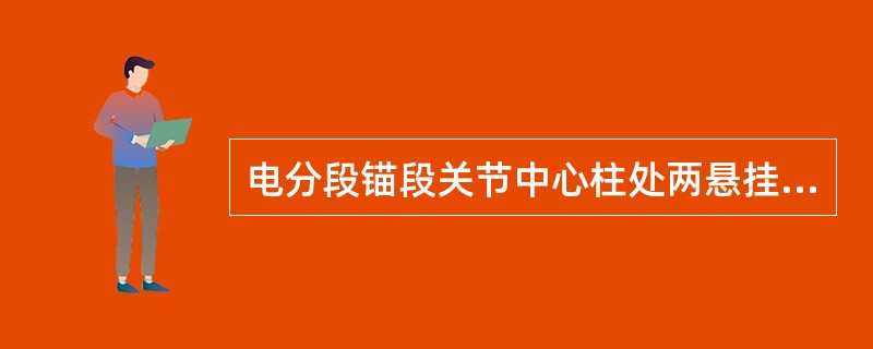 电分段锚段关节中心柱处两悬挂点承力索的水平距离应符合设计标准，其限界值允许误差不