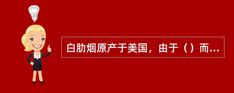 白肋烟原产于美国，由于（）而得名。
