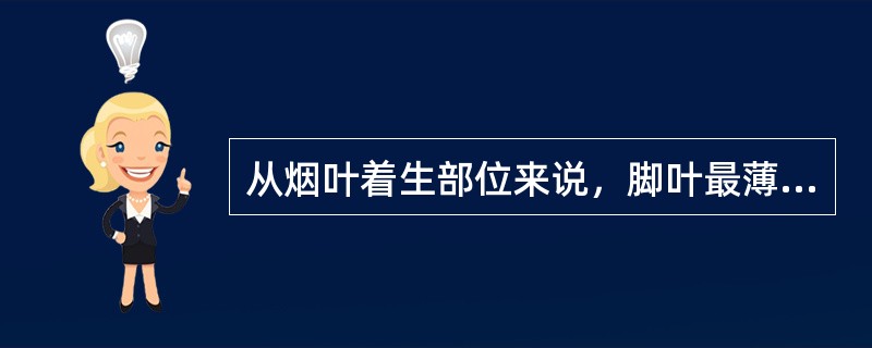 从烟叶着生部位来说，脚叶最薄，含梗率高，腰叶居中，（）最厚，含梗率最低。