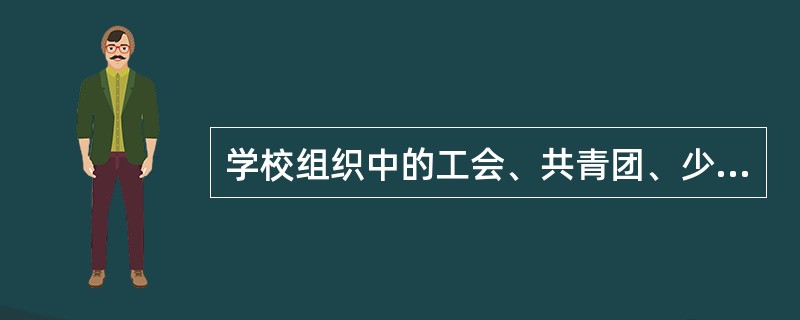 学校组织中的工会、共青团、少先队、学生会等组织属于（）