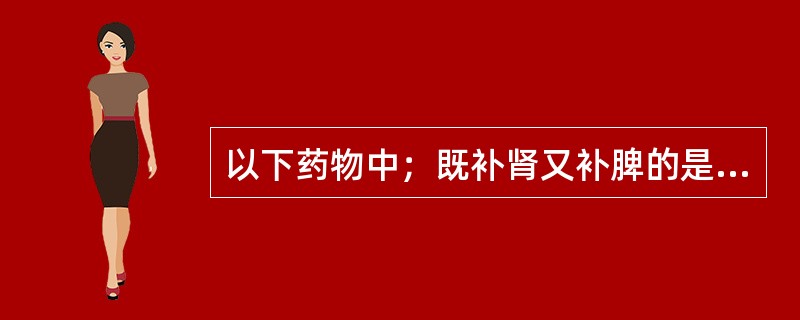 以下药物中；既补肾又补脾的是（）。