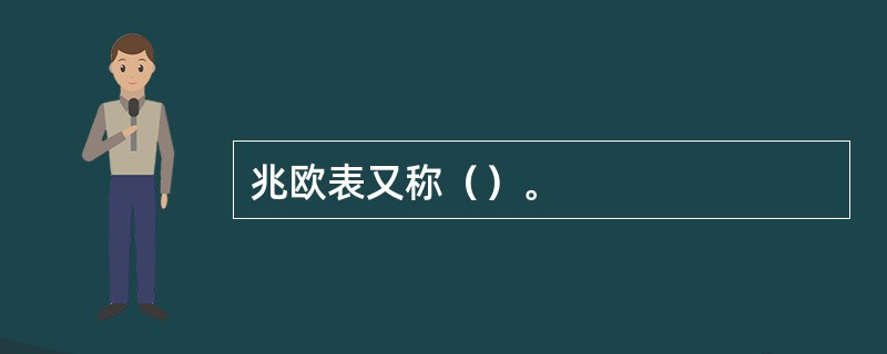 兆欧表又称（）。