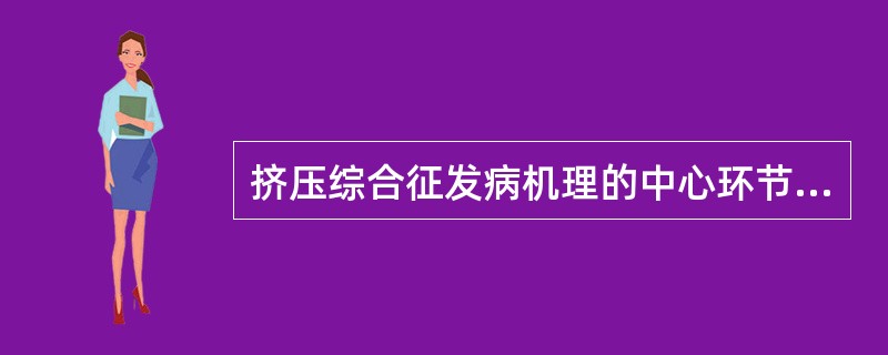 挤压综合征发病机理的中心环节是（）。