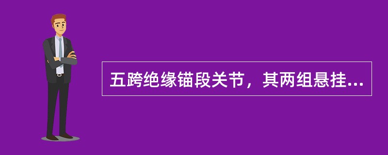 五跨绝缘锚段关节，其两组悬挂的转换点在（）的中心。