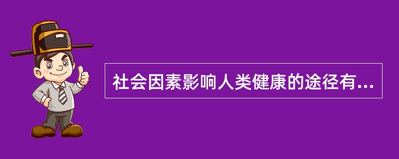 社会因素影响人类健康的途径有（）。