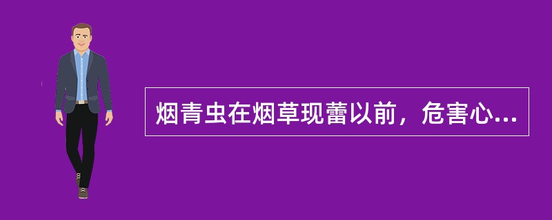 烟青虫在烟草现蕾以前，危害心芽与嫩叶，吃成（），严重时把叶肉吃光，仅留叶脉。