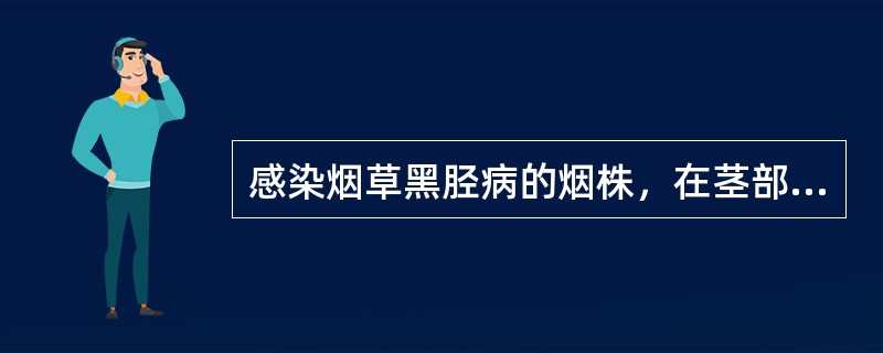 感染烟草黑胫病的烟株，在茎部发病后期．剖开病茎，可见髓部干缩、褐色呈（）