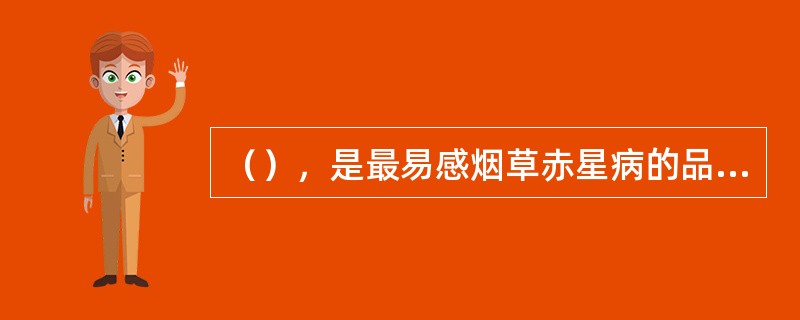 （），是最易感烟草赤星病的品种。