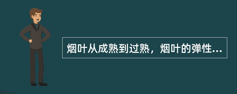 烟叶从成熟到过熟，烟叶的弹性（）。