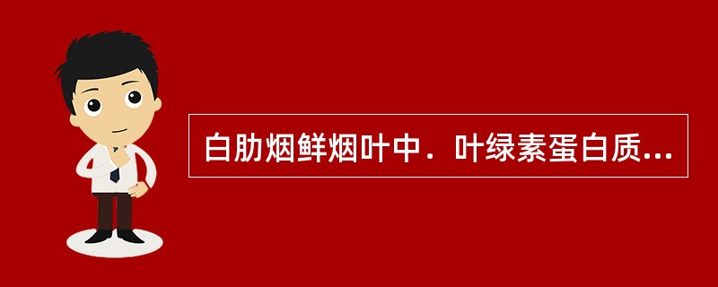 白肋烟鲜烟叶中．叶绿素蛋白质与其它蛋白质的比例为（）。