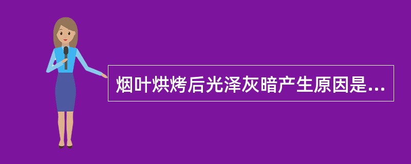 烟叶烘烤后光泽灰暗产生原因是（）。