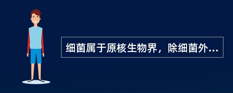 细菌属于原核生物界，除细菌外还包括有（）