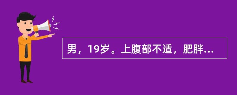 男，19岁。上腹部不适，肥胖。结合超声声像图，诊断为()