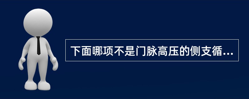 下面哪项不是门脉高压的侧支循环路径()
