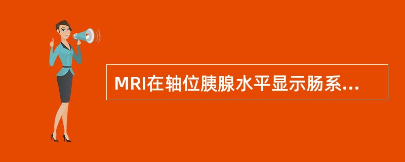 MRI在轴位胰腺水平显示肠系膜上动、静脉位于()