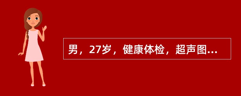 男，27岁，健康体检，超声图中箭头所指为()