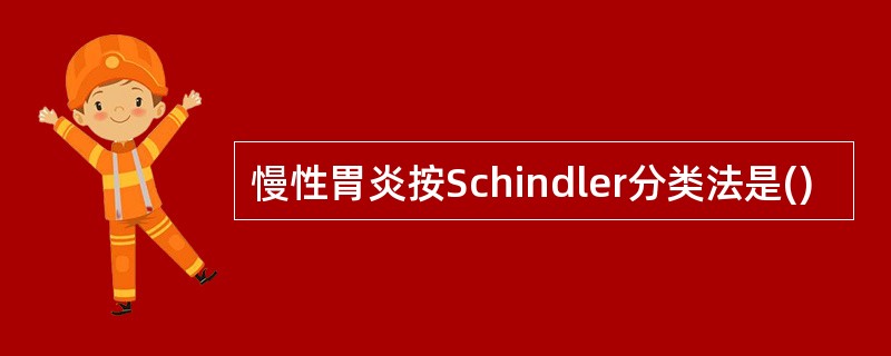 慢性胃炎按Schindler分类法是()