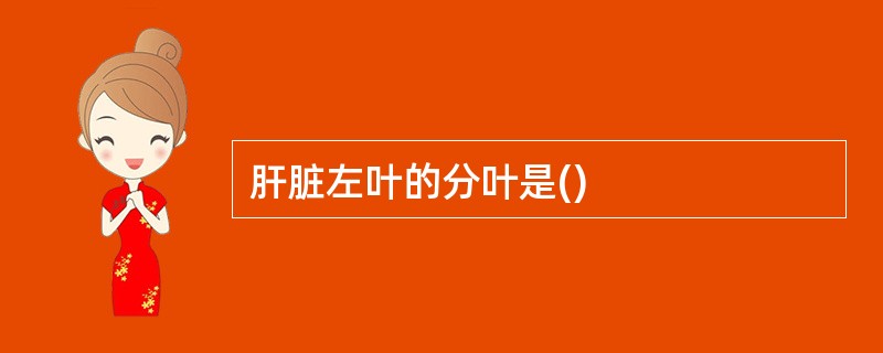 肝脏左叶的分叶是()