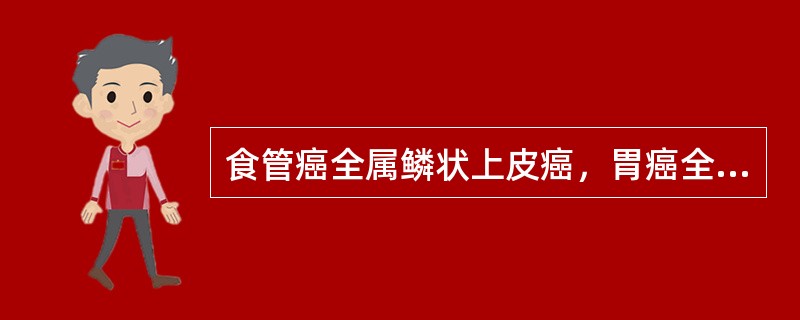 食管癌全属鳞状上皮癌，胃癌全属腺癌。