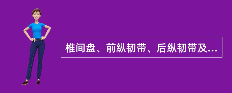 椎间盘、前纵韧带、后纵韧带及黄韧带皆参与椎体连结