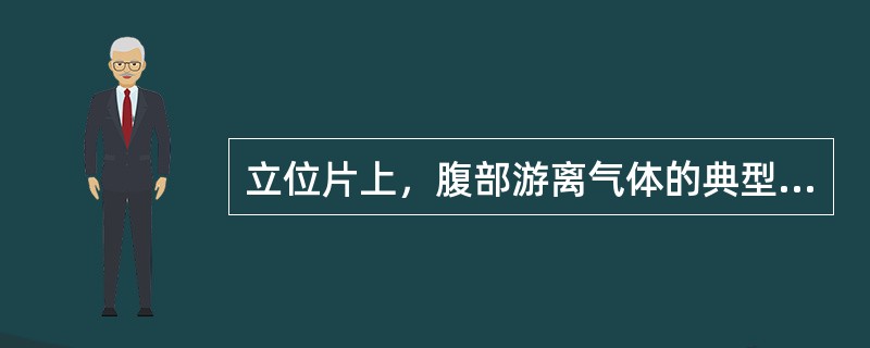 立位片上，腹部游离气体的典型影为()