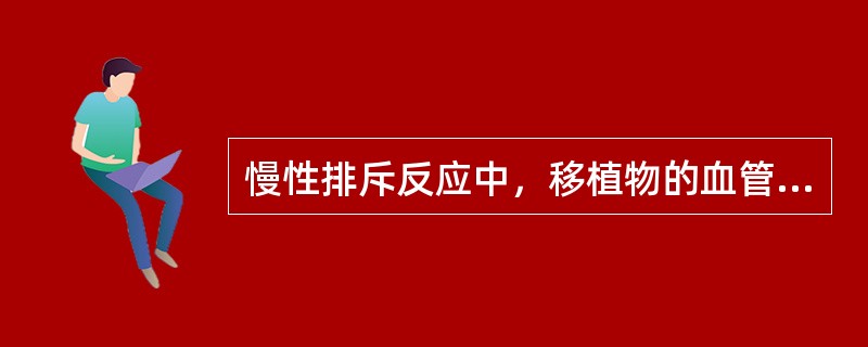 慢性排斥反应中，移植物的血管病变特点是（）