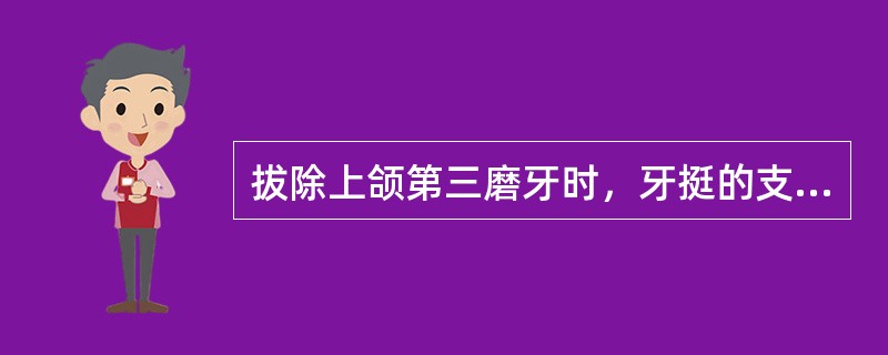 拔除上颌第三磨牙时，牙挺的支点应置于（）。