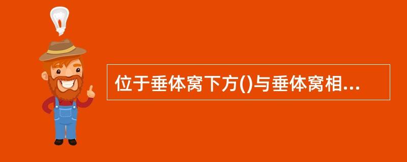 位于垂体窝下方()与垂体窝相邻()位于垂体窝上方()位于垂体窝两侧()