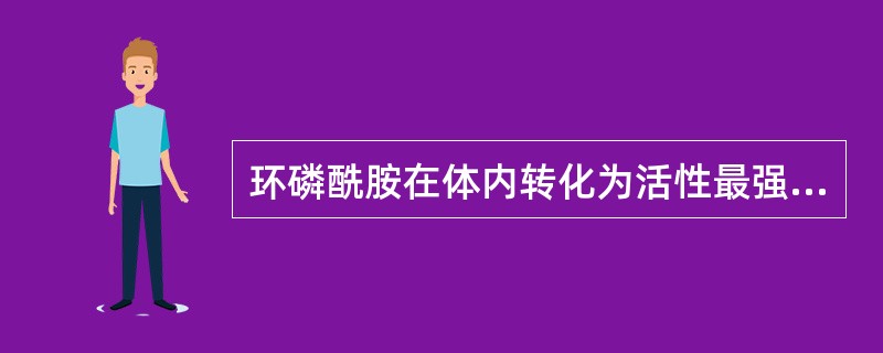 环磷酰胺在体内转化为活性最强的代谢物是（）