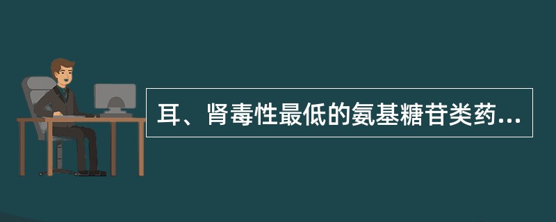 耳、肾毒性最低的氨基糖苷类药物是（）