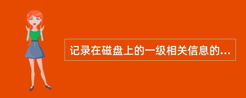 记录在磁盘上的一级相关信息的集合称为（）。