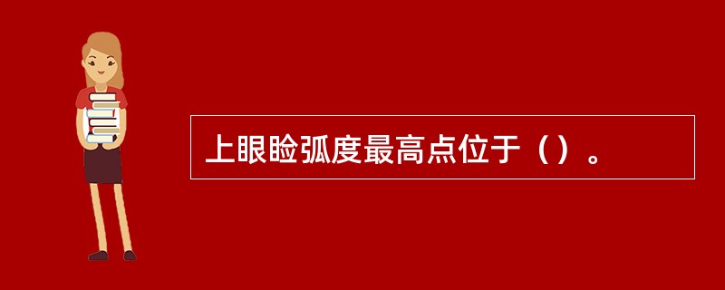 上眼睑弧度最高点位于（）。