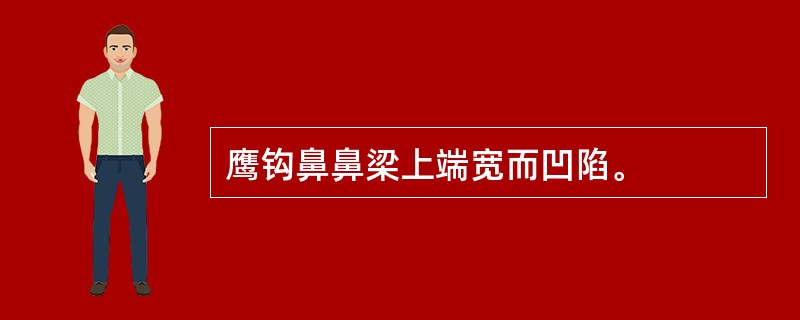 鹰钩鼻鼻梁上端宽而凹陷。