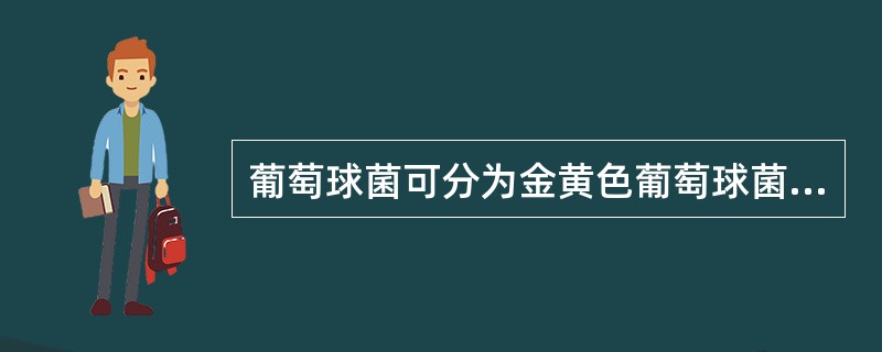 葡萄球菌可分为金黄色葡萄球菌、表皮葡萄球菌、腐生葡萄球菌三类，其目前的分类依据主