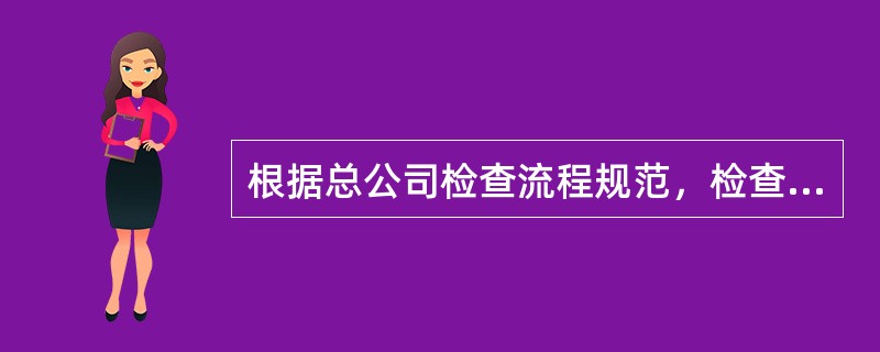 根据总公司检查流程规范，检查方法包括（）