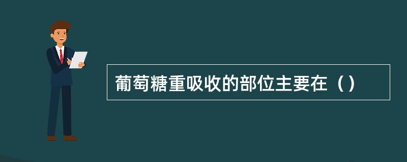 葡萄糖重吸收的部位主要在（）