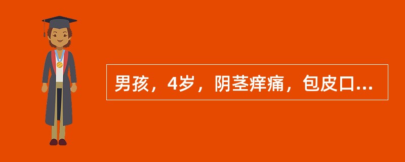 男孩，4岁，阴茎痒痛，包皮口排出乳白色豆腐渣样物。检查发现包皮水肿，阴茎头红，包