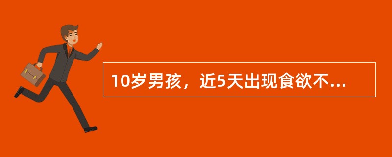 10岁男孩，近5天出现食欲不振、恶心、厌油、乏力、尿黄，第5病日出现皮肤、巩膜黄