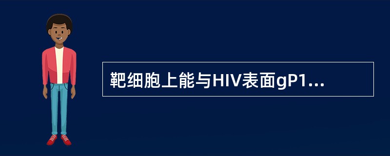 靶细胞上能与HIV表面gP120结合的特殊受体是（）