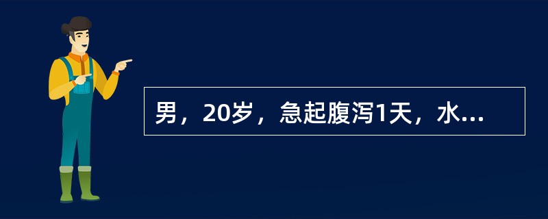 男，20岁，急起腹泻1天，水样便，共10次，伴轻度腹痛及里急后重感，呕吐2次，体