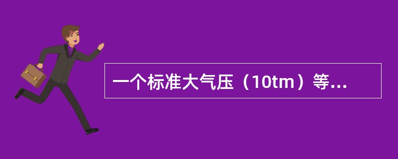 一个标准大气压（10tm）等于（）。