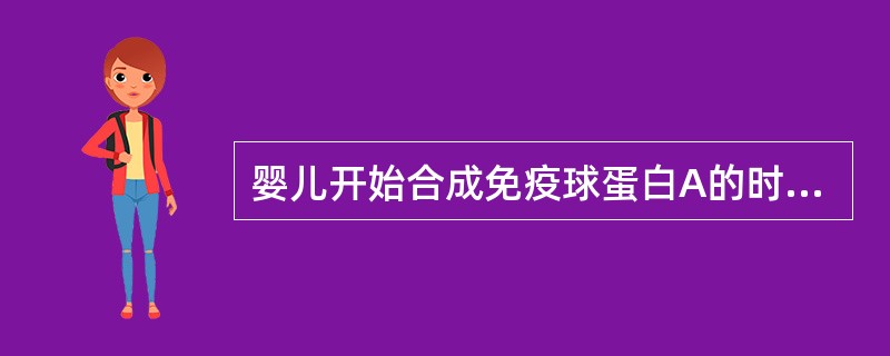 婴儿开始合成免疫球蛋白A的时间是（）