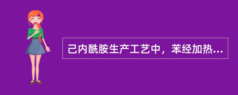 己内酰胺生产工艺中，苯经加热后进入苯蒸馏塔的（）。