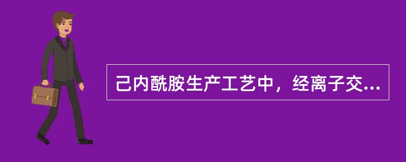 己内酰胺生产工艺中，经离子交换后的物料送至（）。